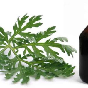 Полынь 25мл настойка