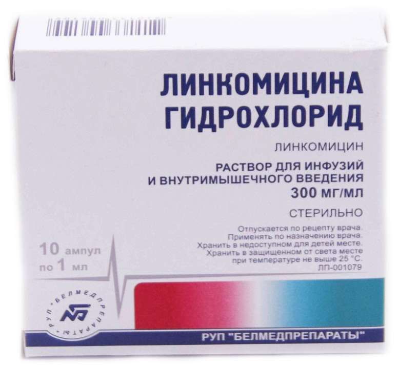 Линкомицина гидрохлорид 300мг/мл 1мл 10 шт. раствор для инфузий и в .