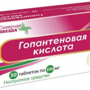 Гопантеновая кислота 500мг 50 шт. таблетки