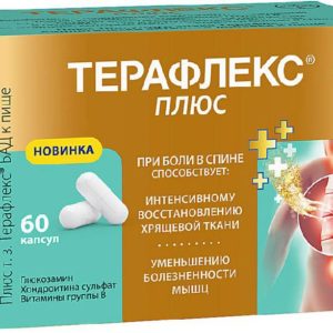 Терафлекс плюс капсулы 60 шт.