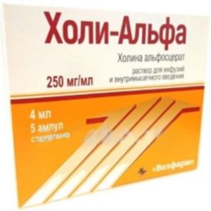 Холи-альфа 250мг/мл 4мл 5 шт. раствор для инфузий и в/мышечного введения