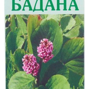 Бадан корневище с корнями 50г