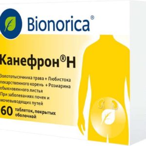 Канефрон h 60 шт. таблетки покрытые оболочкой